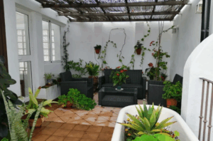 Chalet adosado en Vejer Patio con plantas